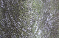 Lynch fibreglass roof work